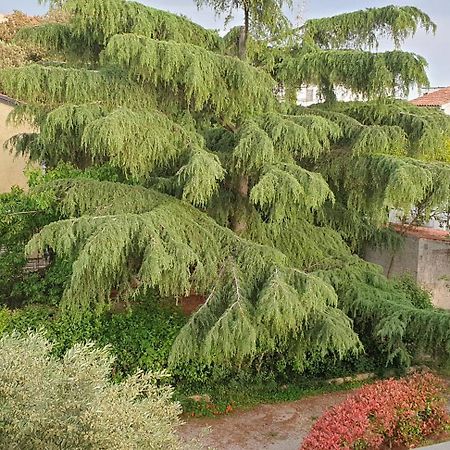 רוביני Apartments Adri, Parking In The Yard מראה חיצוני תמונה